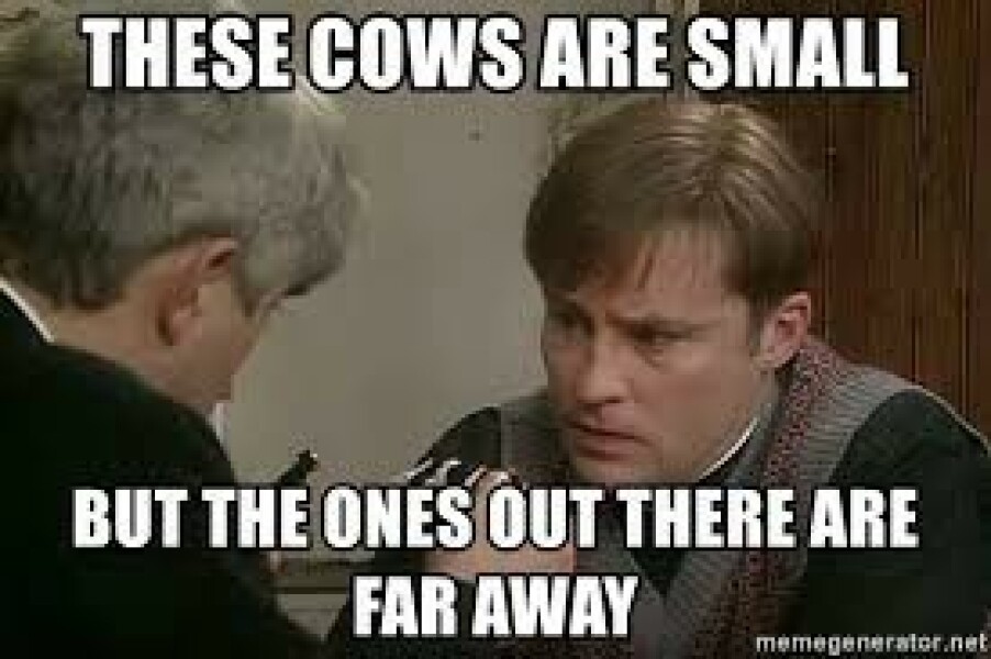 In a cafe, and a woman has just complained (funny) 