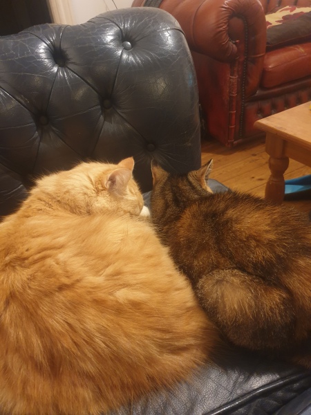 Thread 1 - Lifeboat Muster Point for TalkExiles