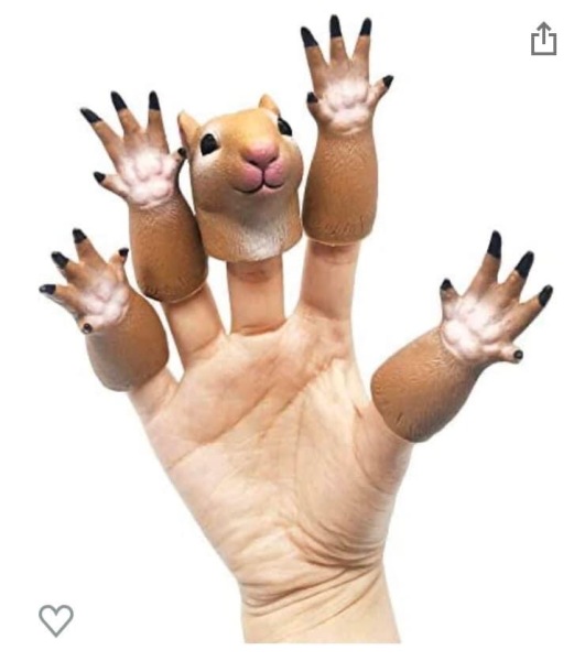 What the hell is this? 
