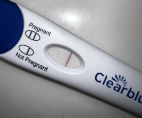 Pregnancy Test Opinions again??