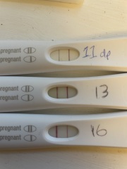 Due July 2023