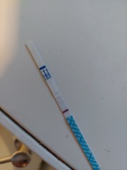 8dpo does this look like a faint line?