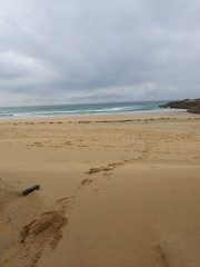 Any Witches Here?- Part 17.