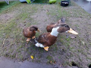 Ukraine Invasion: Part 35