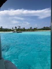 Come and tell me your dull and unexciting news 23: Calmly through the day 