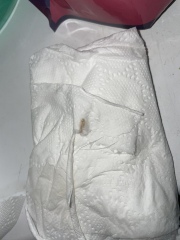 Is this implantation bleed or period - PIC ATTACHED