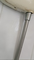 In despair over very damp wall following a bathroom 'accident' - what to do for the best??