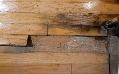 How to deal with this mould :(