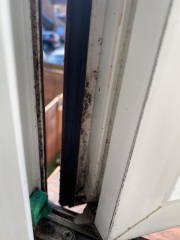 Is this black mould or just dirt? (Pic)