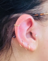 Which piercing would you add to these? 