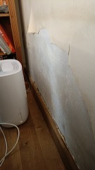In despair over very damp wall following a bathroom 'accident' - what to do for the best??