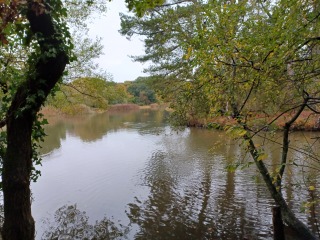 Come chat hiking with me!