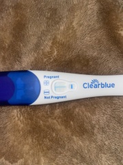 Pregnancy 