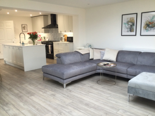 Kitchen/dining/living dark or light sofa