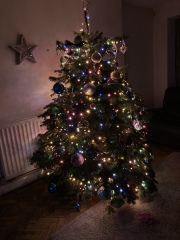 Non judgemental Christmas Decorations thread. 