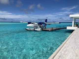 Cancer Support Thread 84 - gently crunching our way into autumn