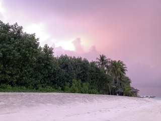 Come and tell me your dull and unexciting news 23: Calmly through the day 