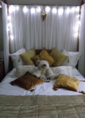 Can I see your bedroom...?