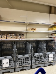 Chicken eggs being limited