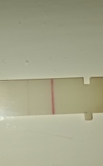 Pregant after miscarriage - support thread