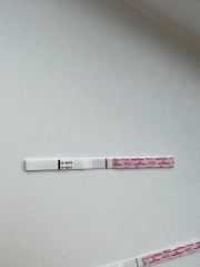 TTC chat thread 4