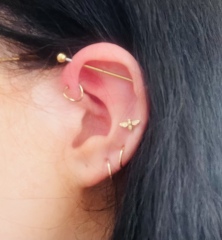 Which piercing would you add to these? 