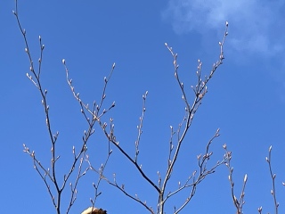 Winter Weather outlook