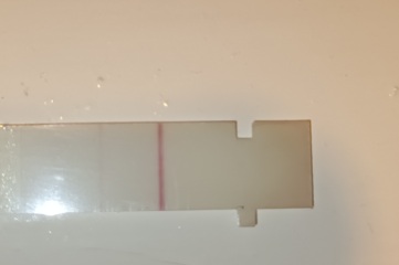 Pregant after miscarriage - support thread