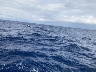 Come and tell me your dull and unexciting news 23: Calmly through the day 