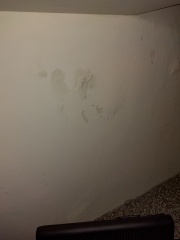 Is this condensation, damp or other?