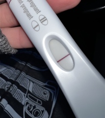 Pregnancy Test Opinions again??