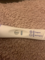 Can you conceive straight after period in 
