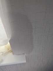Damp patches in hallway 