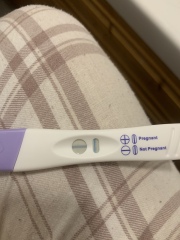Can you conceive straight after period in 