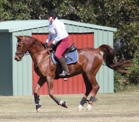 To feel sorry for people with horses?