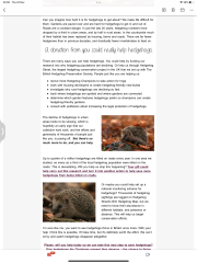 To ask you to please help hedgehogs and other wildlife prepare for winter