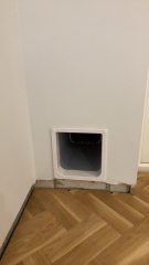 Best place for cat door in new house: is a wall tunnel to the outside bonkers?
