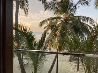 Come and tell me your dull and unexciting news 23: Calmly through the day 