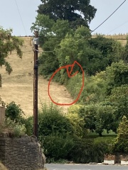 What did we see this afternoon?
