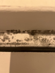 Mould in my flat, please help! (Yucky pictures attached)