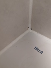 Best way to remove black mould from bathroom sealant?