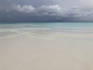 Come and tell me your dull and unexciting news 23: Calmly through the day 