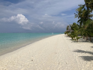 Cancer Support Thread 84 - gently crunching our way into autumn