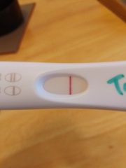 First time using first response tests yesterday and today
