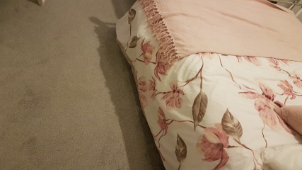 Help with room colour 
