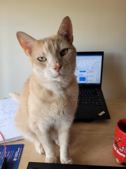 Thread 1 - Lifeboat Muster Point for TalkExiles