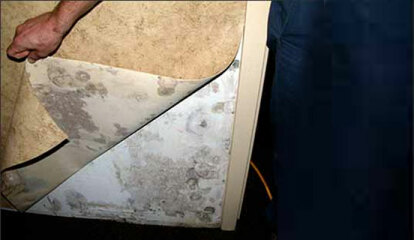 AIBU to expect the tenants to turn the heating up?