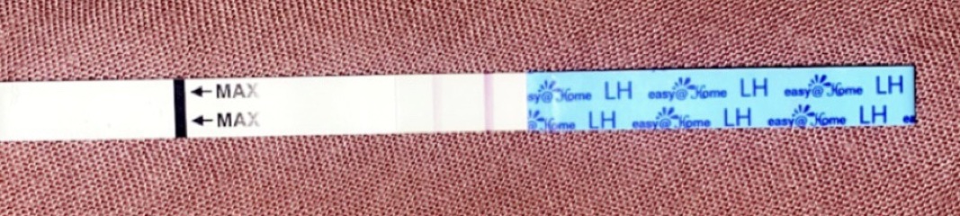 ovulation testing