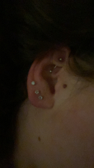 Do you have several ear piercings? Please can I see?