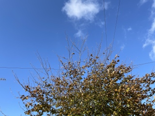 Winter Weather outlook